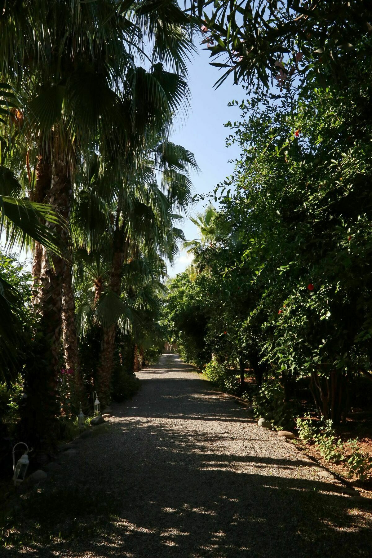 Le Bled Ferme Bed and Breakfast Lahebichate Buitenkant foto